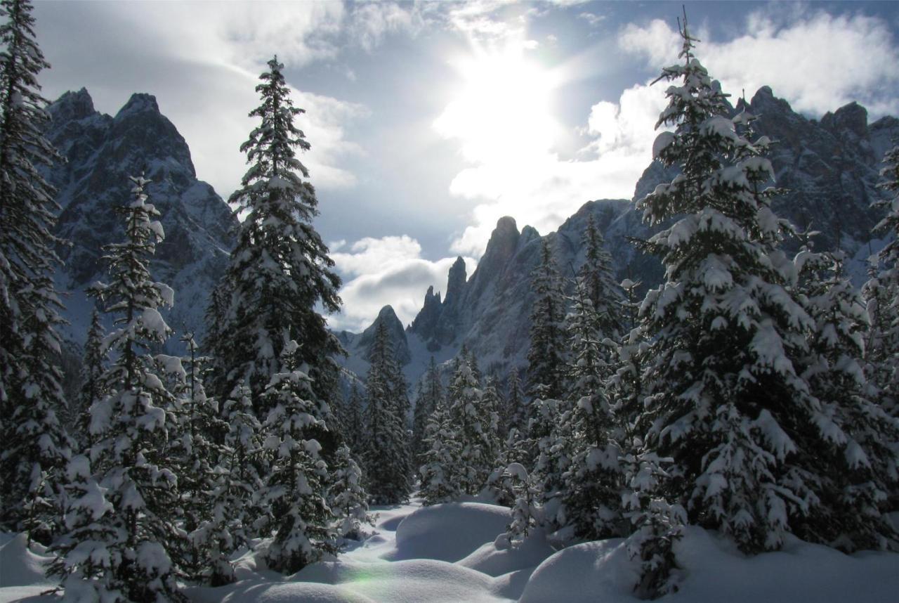 Hotel Dolomitenhof & Chalet Alte Post Сесто Экстерьер фото